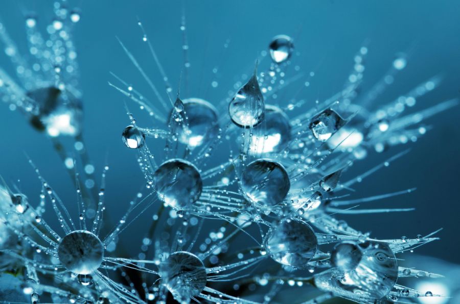 Applying Causal AI Across Industries with Geminos Causeway